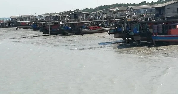 渔民老陈转型生态导游